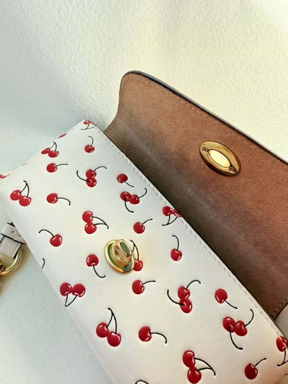 coach Sunglass Case With Cherry Print cfa49